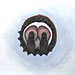 oorsprong - 2002 - pastel - 110 x 110 cm.