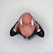 overzicht - 2003 - pastel - 103 x 103 cm.